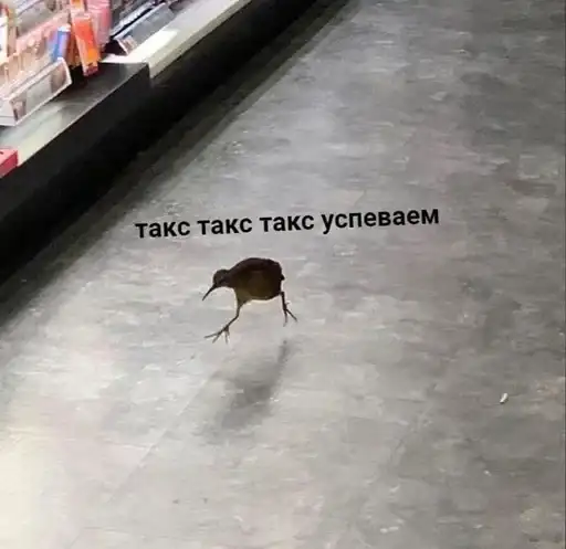 Sticker 🏃‍♀️