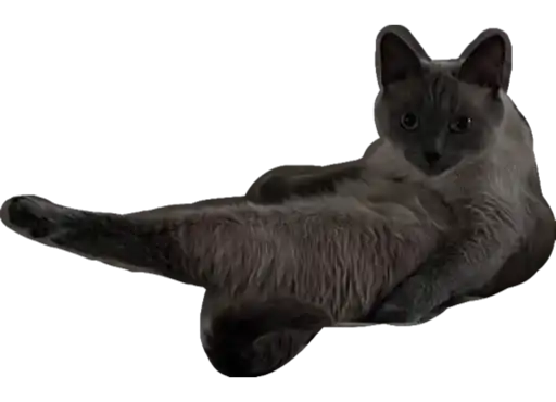 Sticker 💁‍♀️