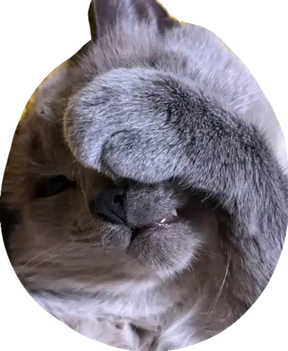 Sticker 🤦‍♀️