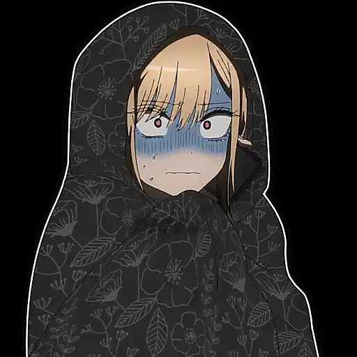 MARIN KITAGAWA PHOTO STICKERS preview