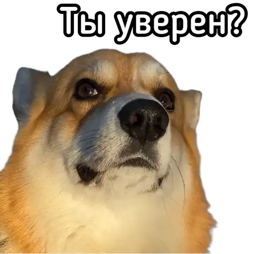 Маффин корги preview