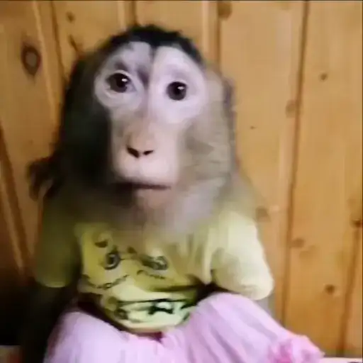 Sticker 🤷‍♀️