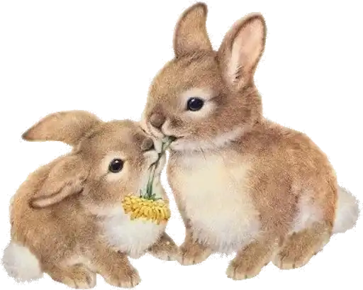 Sticker 🏄‍♀️