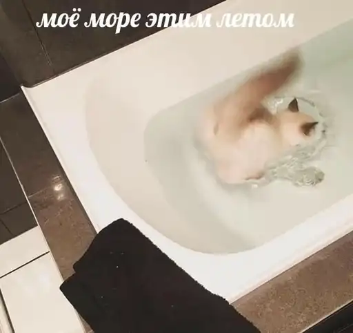 Sticker 😶‍🌫️