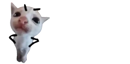 Sticker 🙅‍♀️