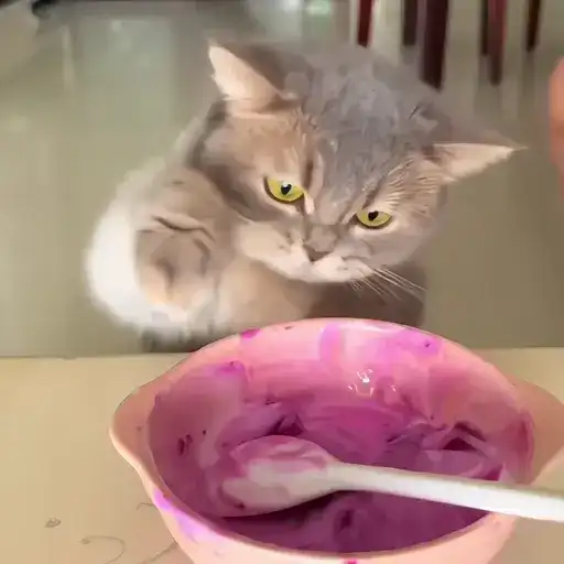 Sticker 🐈‍⬛️