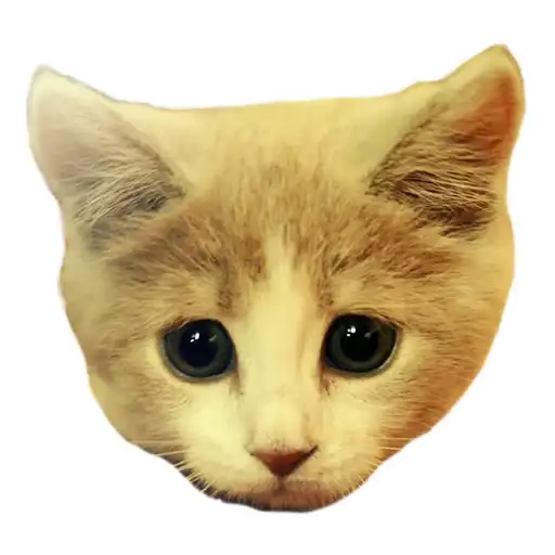 Sexy Animals preview