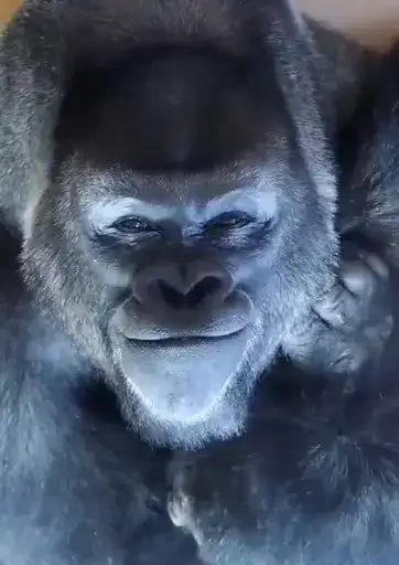 Uh oh 3: Electric Boogaloo preview