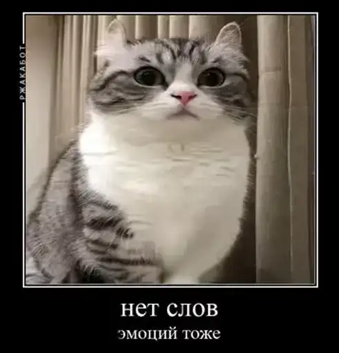 Комару preview