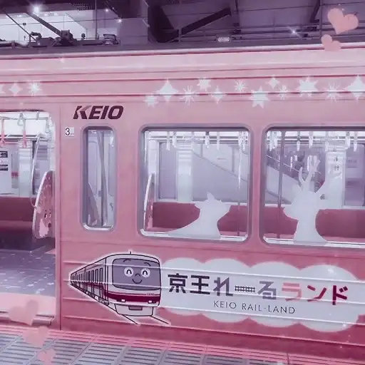 ꒰ 🥧 ꒱  ⁀ 〣 pardofelis preview