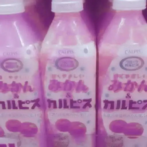 ꒰ 🥧 ꒱  ⁀ 〣 pardofelis preview