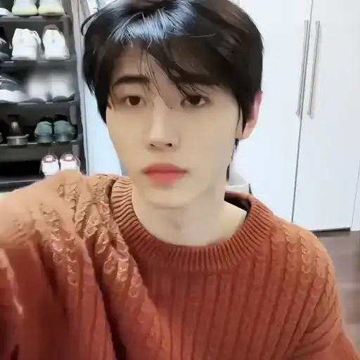 ࣺ sunghoon preview