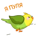 Зелёный Птенчик preview