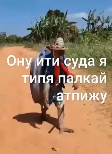 Брад бибизяна preview