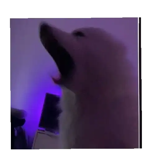 Ржачные животные preview