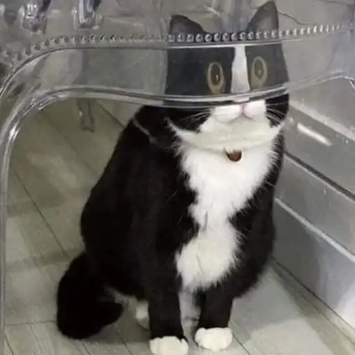 ЖМИ СЮДА preview