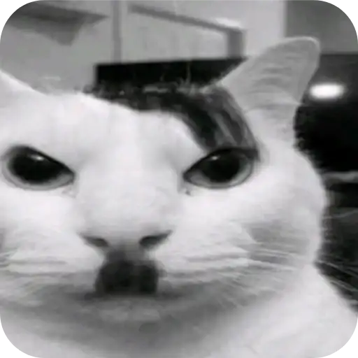 Котятки•Мемасы preview