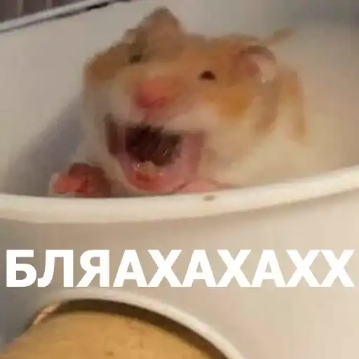 Забавные животные 4 preview