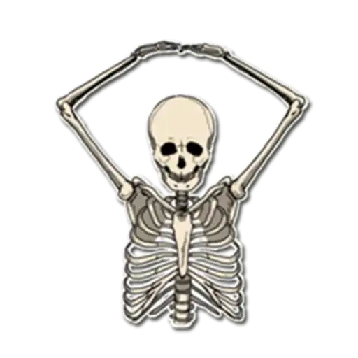 Skeleton Bob / By OsmerOmar preview