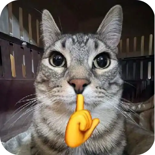 Sticker 🐱
