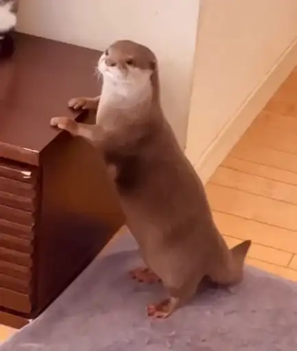 Sticker 🧍‍♀️