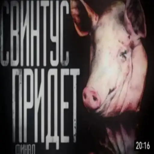 КРИПОВЫЕ СТРАШНЫЕ ИСТОРИИ preview