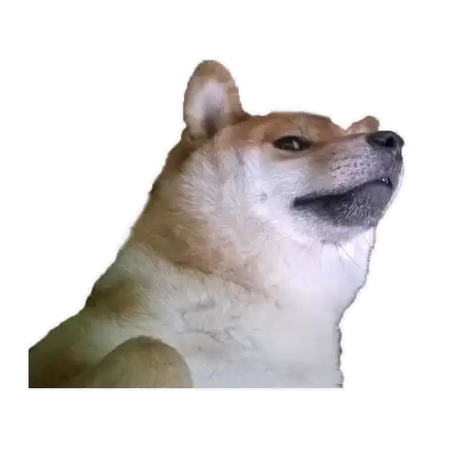 Doge preview
