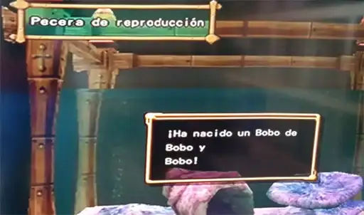 Useful Memes preview