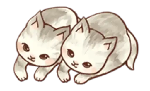 Kitten daily 🐈 preview