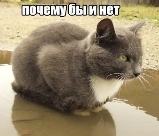 Sticker 🤷‍♀️