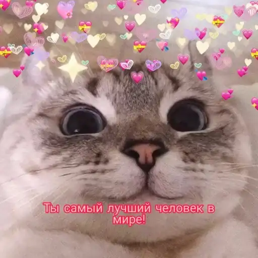 Няшные Пикчи preview