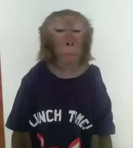 Бибизяны preview