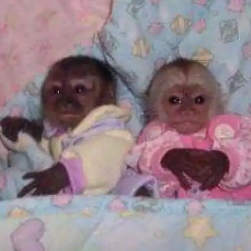 Sticker 👩‍❤️‍👨