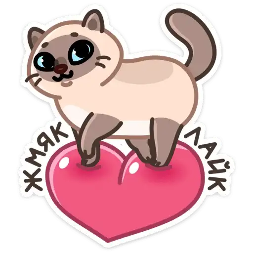 Котик Плюш preview