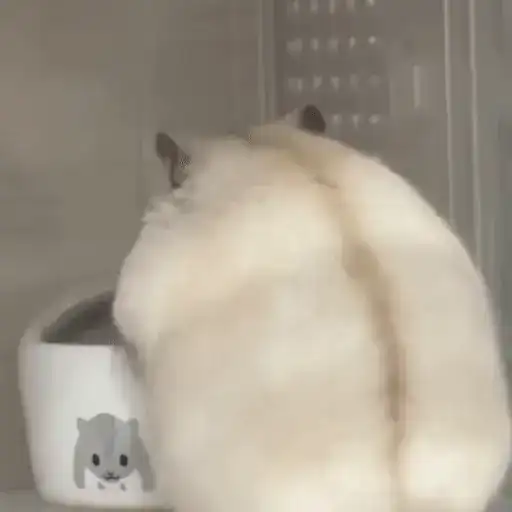 Sticker 😶‍🌫️