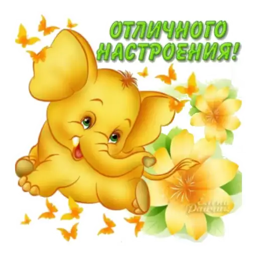 Приветствия preview