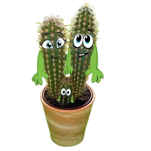 Sticker 👨‍👩‍👦‍👦