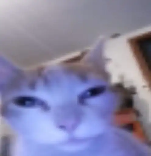 Sticker 😶‍🌫️