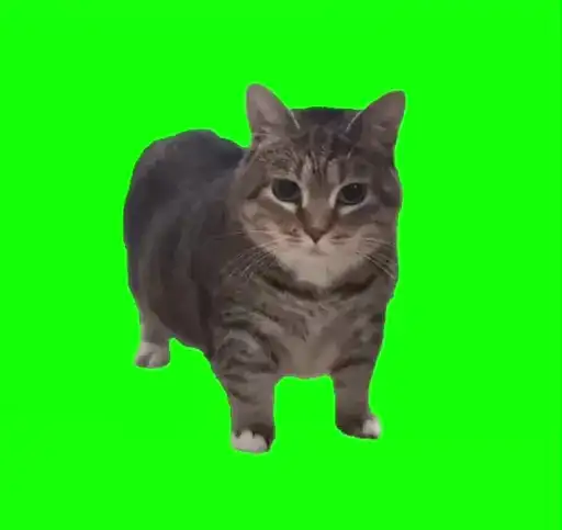 🌟 Сделай preview