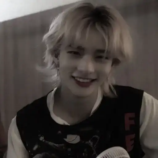 Hyunjin ₊ 🐾 ˚ ׅ preview