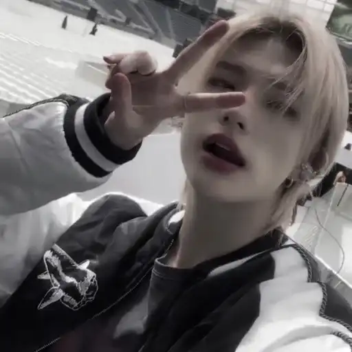 Hyunjin ₊ 🐾 ˚ ׅ preview