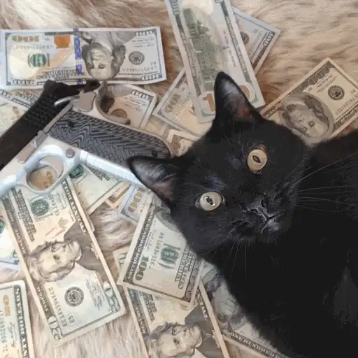 Коты с бабками preview