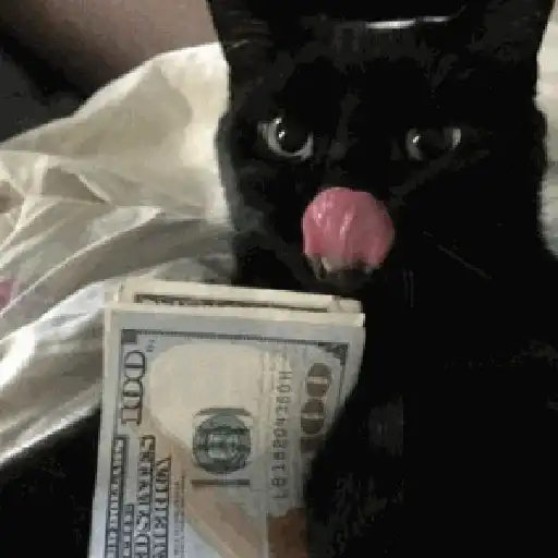 Коты с бабками preview