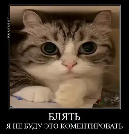 Sticker 🧔‍♀️