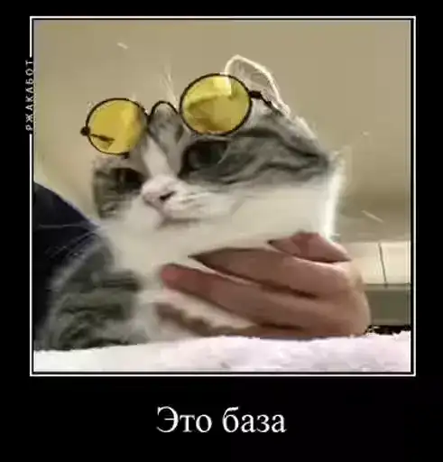 Ебучий Комару preview