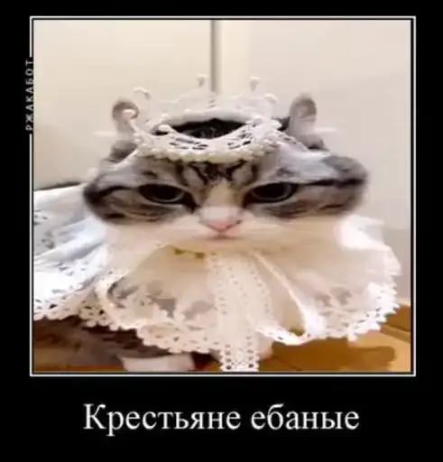 Ебучий Комару preview