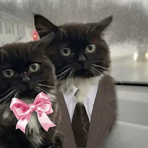 Sticker 👩‍❤️‍👨