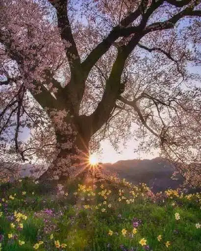 CastleOfMusicLove&music preview