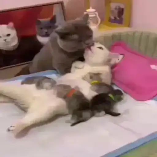 Sticker 👨‍👩‍👧‍👦