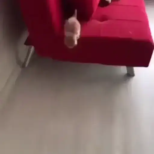 Sticker 🏃‍♂️